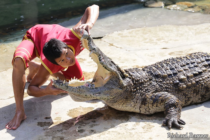 Crocodile Farm and Zoo