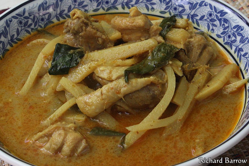 Chicken and Bamboo Shoot in Yellow Curry